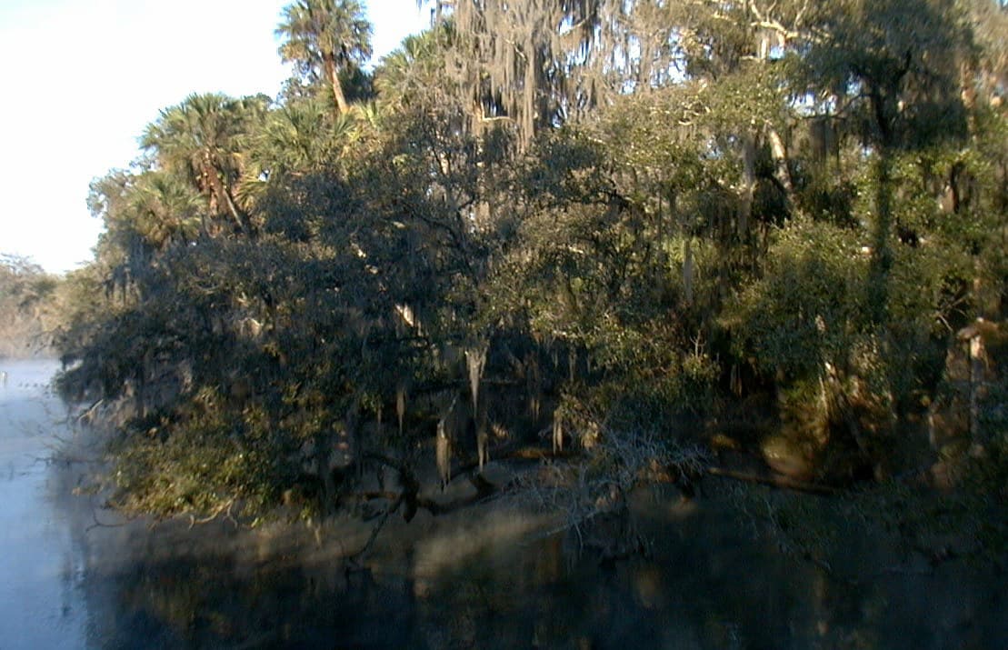 Aerial view of Blue Spring confluence with St. Johns River