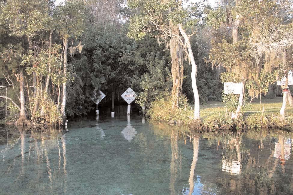 Three Sisters Springs basin with clear spring water