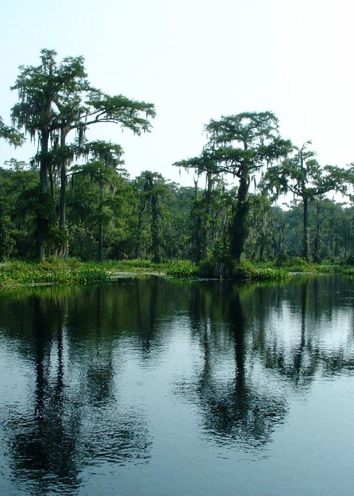 Wakulla Springs basin and boil with crystal-clear deep water
