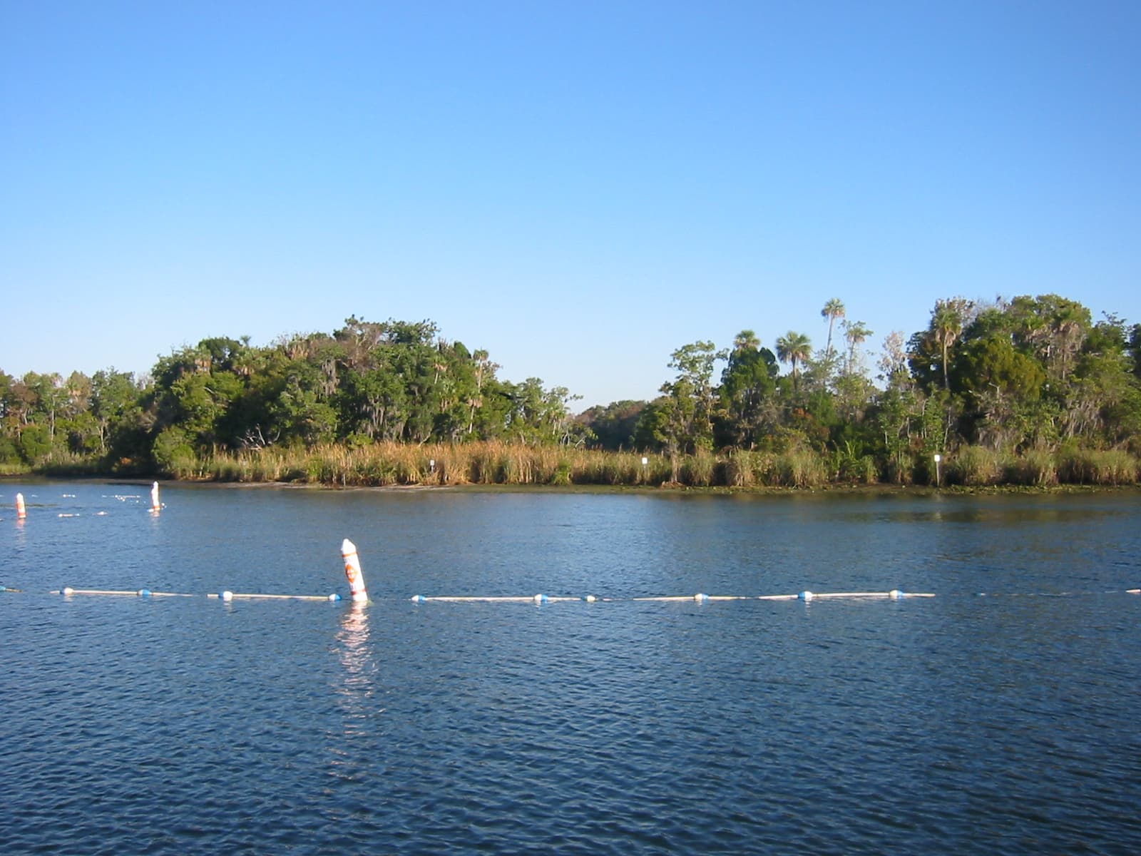 Kings Bay (Crystal River)