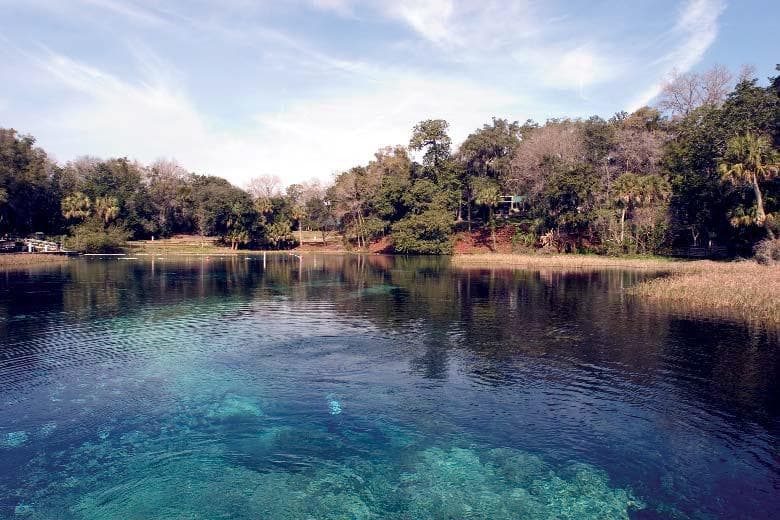 Rainbow Springs headsprings basin aerial view